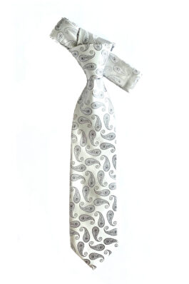 Silver Paisley DSN01